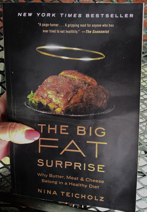 Big Fat Surprise Cover