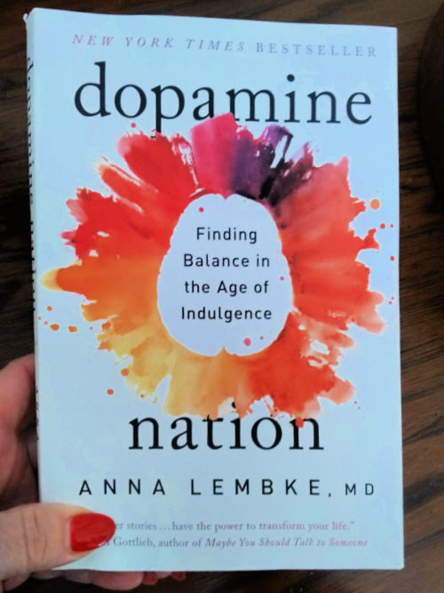 Dopamine Nation Lembke