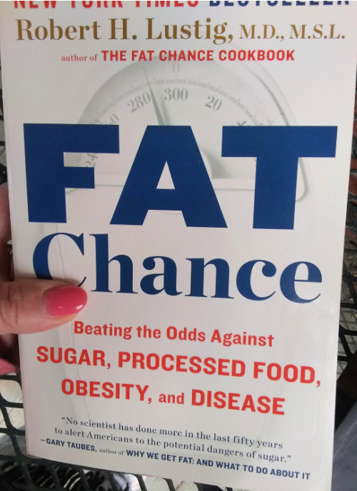Fat Chance Cover