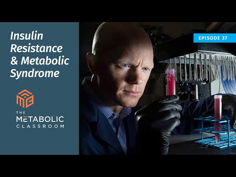 Insulin Resistance and Metabolic Syndrome