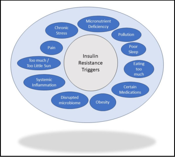 Insulin Resistance Triggers