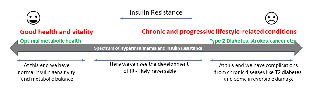Insulin Resistance Spectrum