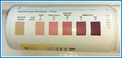Ketostix Range