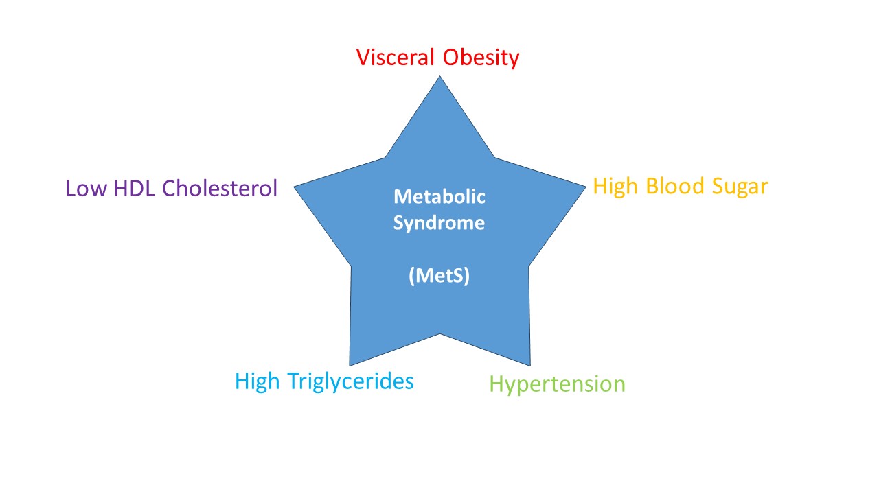 Metabolic Syndrome Slide