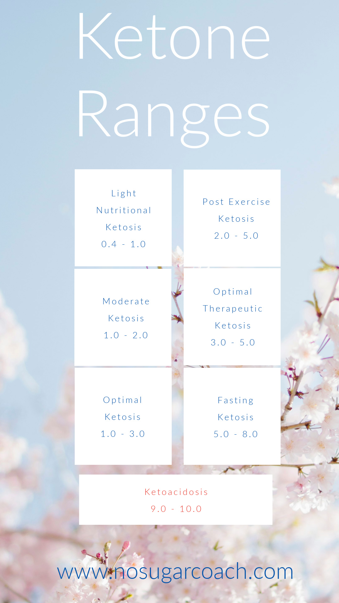 Ketone Poster