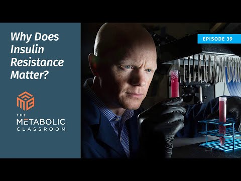 Why Does Insulin Resistance Matter