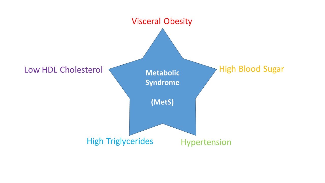 Metabolic Syndrome Slide